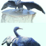 bestiaire grand cormoran