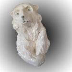 bestiaire petit ours blanc