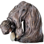 Bretagne cueilleuse coquillage