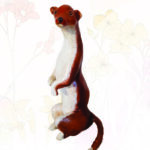 bestiaire belette