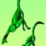 bestiaire singe vert vert vet