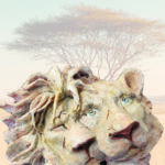 LIONS